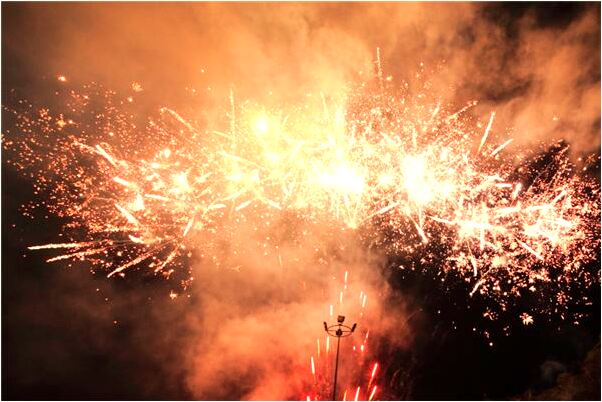 夢到了抓白鴨會是什麼預兆_周公解夢官網