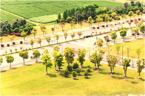 夢見前女朋友生自己的孩子代表什麼_周公解夢官網