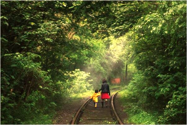 夢到接炸騙電話是什麼徵兆_周公解夢官網