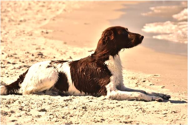 夢到自己在二十多層的樓頂有什麼意思_周公解夢官網