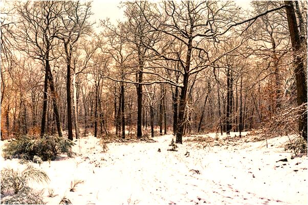 夢見很著急的赴約是什麼徵兆_周公解夢官網