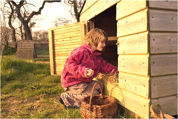 夢到了自己看到自己肚子裡的器官有何寓意_周公解夢官網