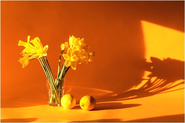 夢到了和女同事做愛未成功是什麼預兆_周公解夢官網