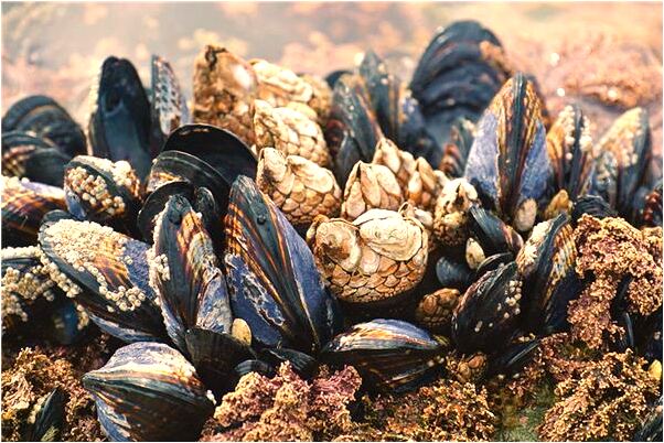 夢到我與家人打架有什麼意義嗎_周公解夢官網