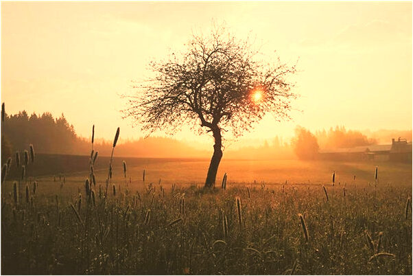 夢見喝冷水是凶兆還是吉兆_周公解夢官網