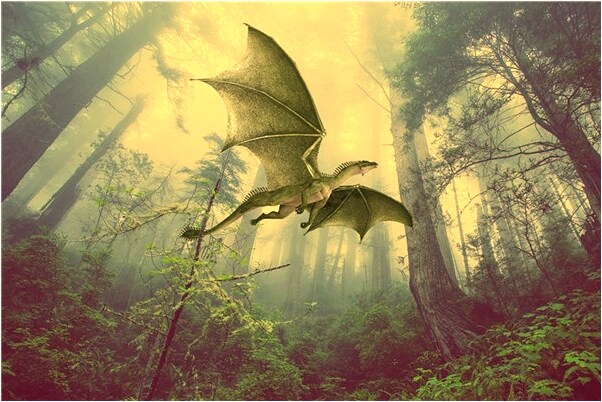 夢到了自己打開了老頭的房門是啥意思_周公解夢官網