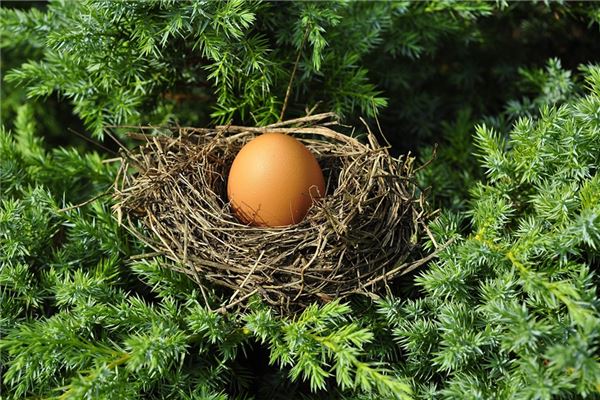 夢到揀蛋是啥預兆_周公解夢