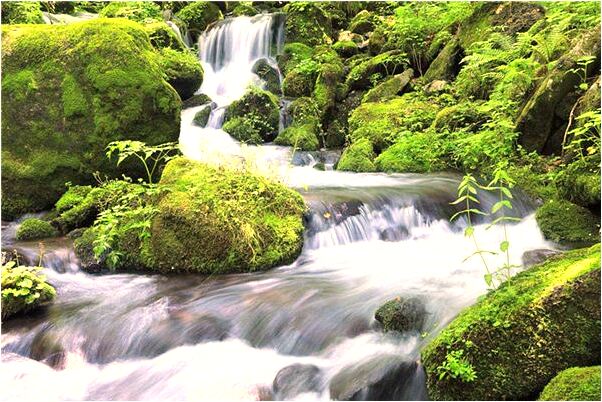 夢見破爛的床架怎么樣_周公解夢官網