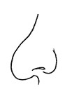 Jewish nose