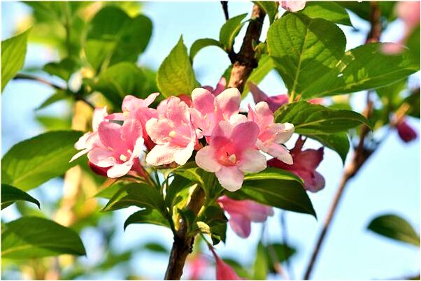 夢到涼水洗手好不好_周公解夢官網