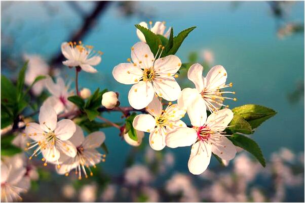 夢到車陷沙子裡會有什麼預兆_周公解夢官網