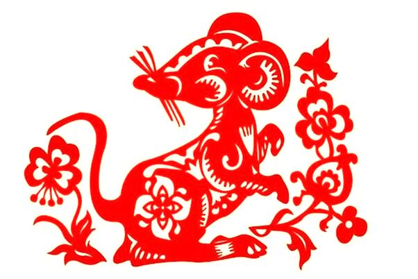 夢到了開車繞山路啥意思_周公解夢官網