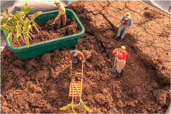 夢到了洗澡一半就醒了預示什麼_周公解夢官網
