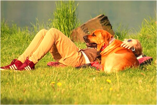 夢到男朋友跟別的女的照相代表著什麼？_周公解夢官網