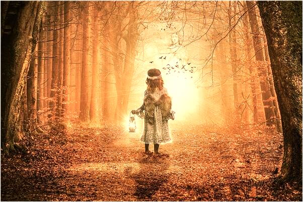 夢到了騎小車子是什麼兆頭_周公解夢官網