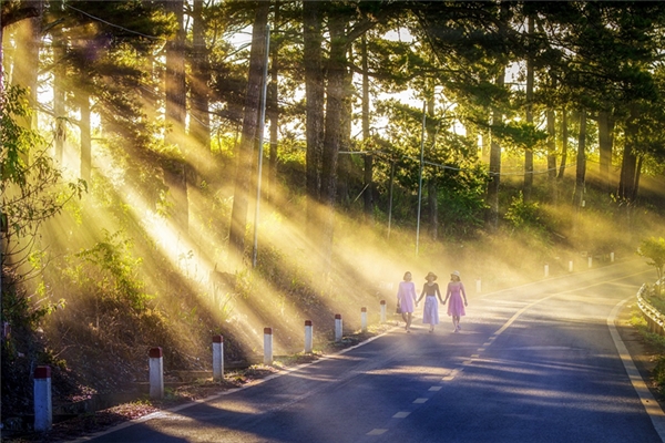 夢到了有個朋友是什麼啟示_周公解夢