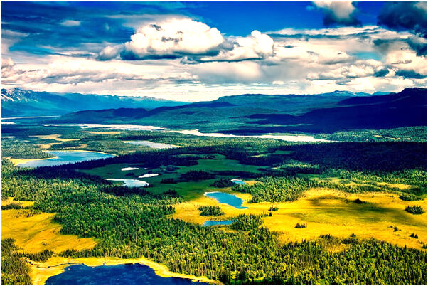 夢見拇指斷會是什麼預兆_周公解夢官網