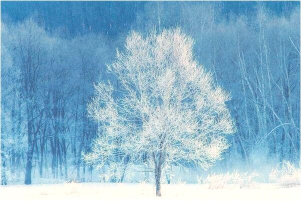 夢見玉蘑菇代表什麼_周公解夢官網