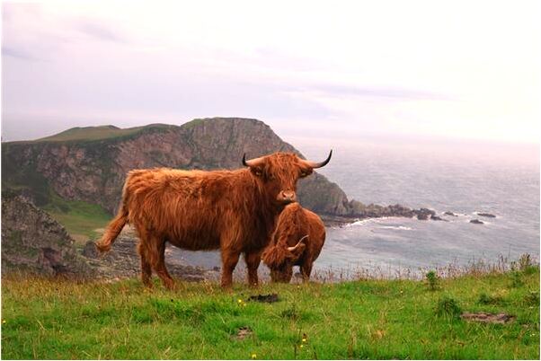 夢到了問他們他們不理我是好的徵兆嗎_周公解夢官網