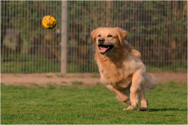 夢到了不常見的人預示什麼_周公解夢官網