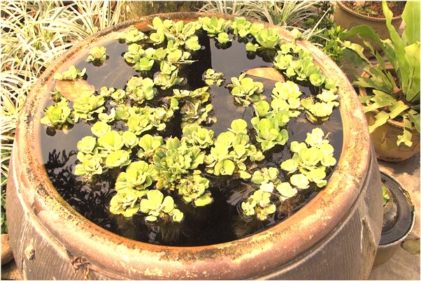 夢到買內衣買指甲油是什麼徵兆_周公解夢官網