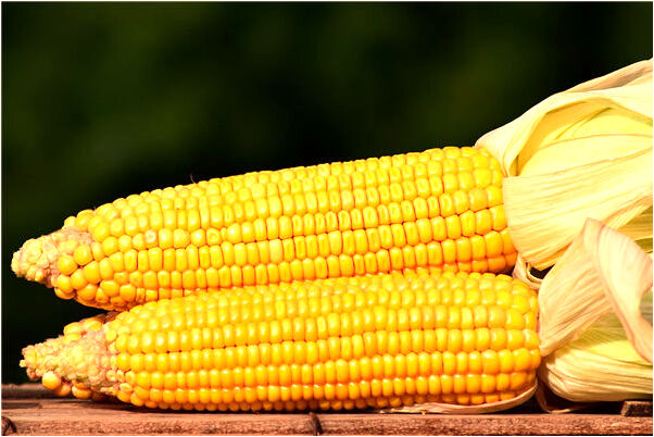 夢見戰亂帶個小孩逃是啥意思_周公解夢官網