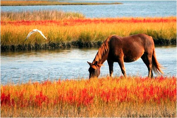 夢到被別人夸代表著什麼_周公解夢官網