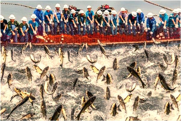 夢到一個熟人喝酒是吉兆嗎?_周公解夢官網