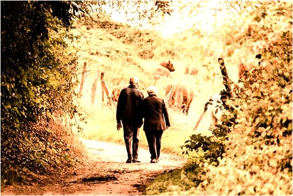 夢到頭髮折了一截頭疼是凶兆還是吉兆_周公解夢官網