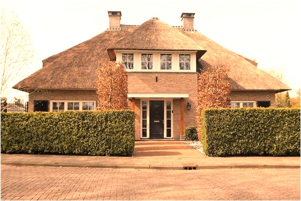 夢見女同事穿胸罩有什麼含義_周公解夢官網