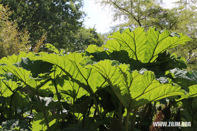 夢見與父母吵架_周公解夢夢到與父母吵架是什麼意思_做夢夢見與父母吵架好不好_周公解夢官網