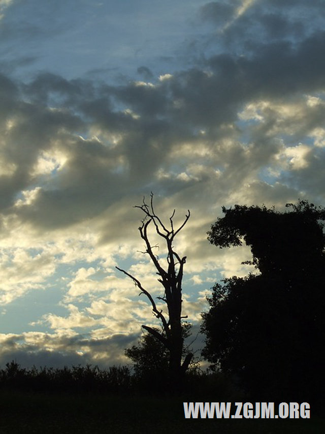 夢見性生殖器官_周公解夢夢到性生殖器官是什麼意思_做夢夢見性生殖器官好不好_周公解夢官網