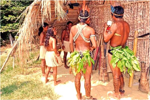 夢到蛇咬蛇自己是吉兆嗎?_周公解夢官網