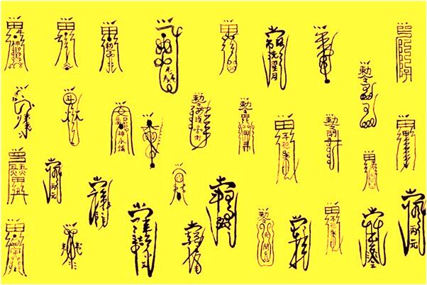 夢到了一群壯牛奔跑是什麼預兆_周公解夢官網