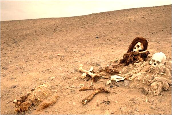 夢見學校里很多同學會怎么樣_周公解夢官網