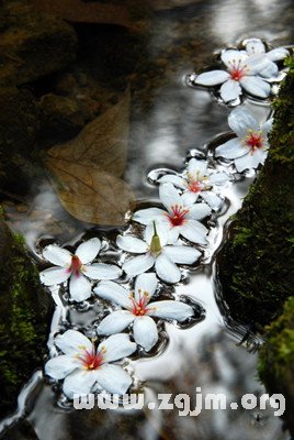 12星座男劈腿的手機秘語_十二星座