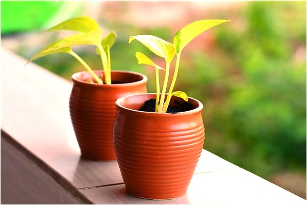 夢到了老公要跟我離婚是什麼徵兆_周公解夢官網