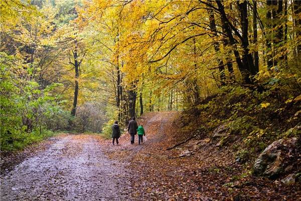 夢見落後怎么回事_周公解夢