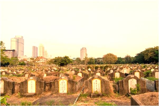 夢到了被狗咬手指怎么回事_周公解夢官網