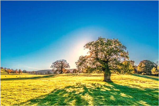 夢到了自己偷朋友東西是吉兆嗎?_周公解夢官網