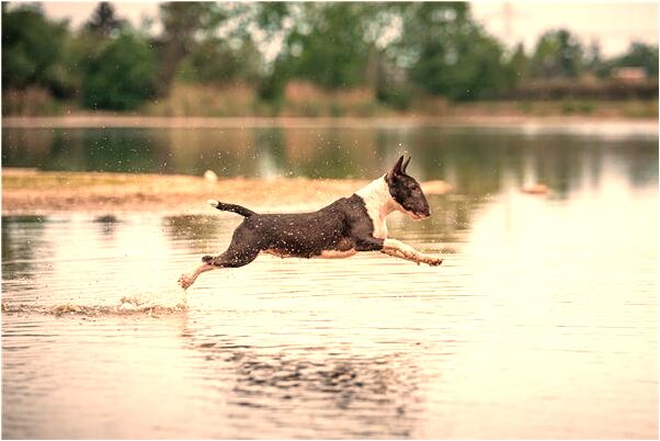 夢到了我睡的地方有蟲子是什麼徵兆_周公解夢官網