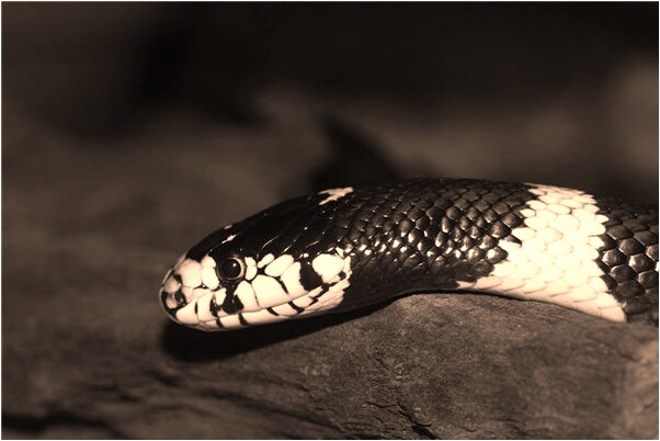 夢見自己穿一身髒衣服是啥意思_周公解夢官網