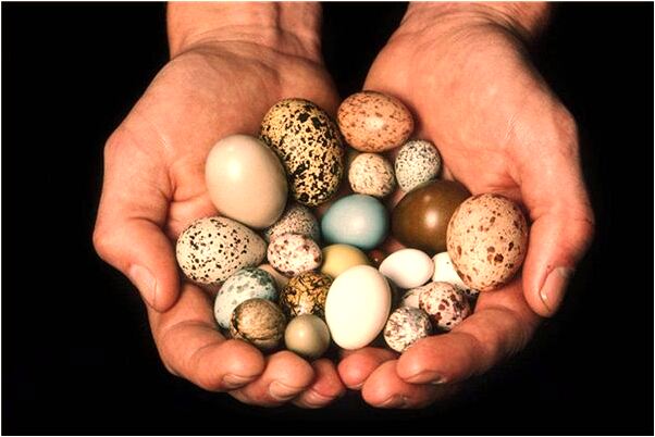 夢到一起開會幫老闆說譯意是不是好的徵兆呢_周公解夢官網