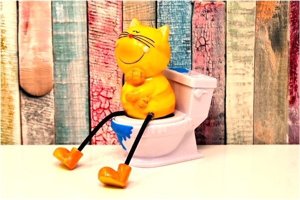 夢見狐狸咬住手臂不放有什麼寓意嗎_周公解夢官網