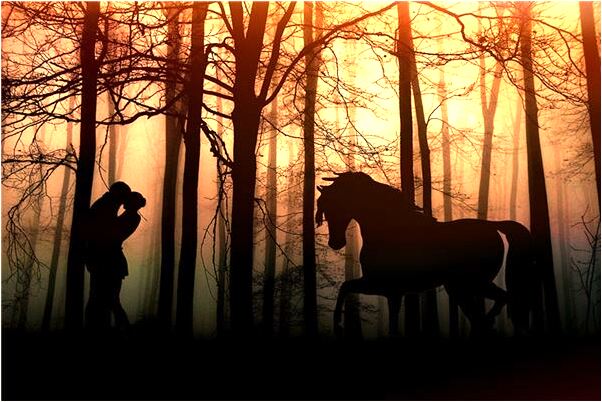 夢到一晚上做了兩次同樣的夢是好是壞_周公解夢官網