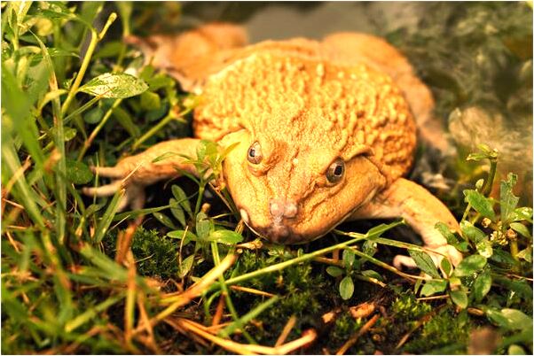 夢見山塌陷我得救有什麼意思_周公解夢官網