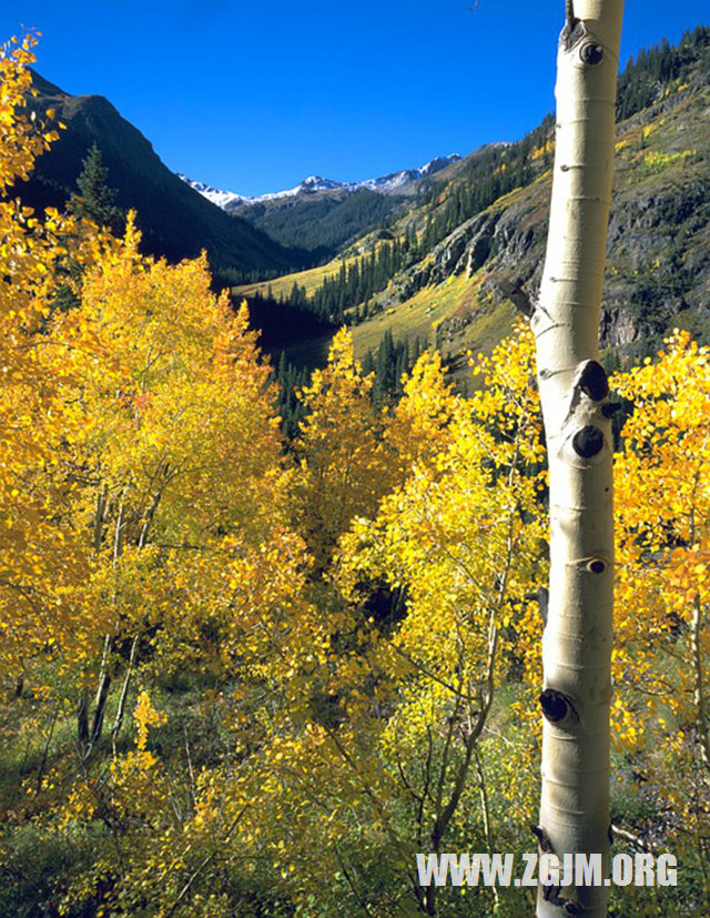 夢見大雪滿地很厚_周公解夢夢到大雪滿地很厚是什麼意思_做夢夢見大雪滿地很厚好不好_周公解夢官網