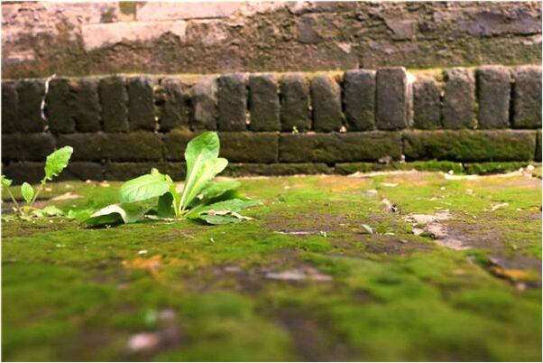 夢見買眼睛有什麼預兆_周公解夢官網