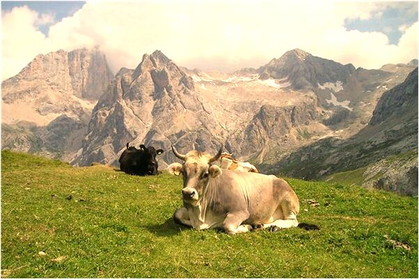 夢到很多人睡地晡是凶兆還是吉兆_周公解夢官網