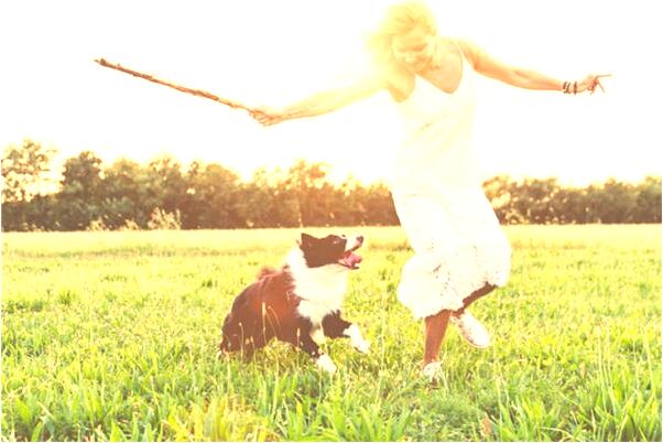 夢見一大一小的兩頭牛是凶兆還是吉兆_周公解夢官網